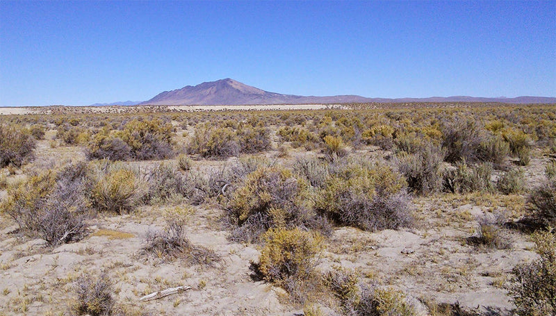 42.2 Acres – Humboldt County, NV - Escape the Ordinary. Embrace the Extraordinary