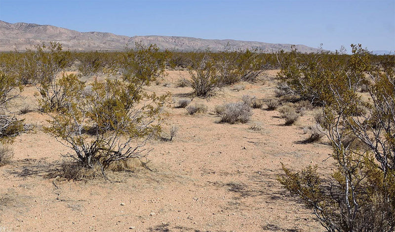 0.11 Acres – Kern County, CA - Tiny Lot, Big California Energy