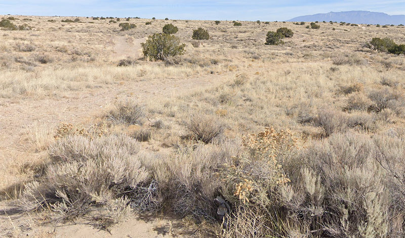 1 Acres – Sandoval County, NM - Enchanted Acre: High Views, Low Price!