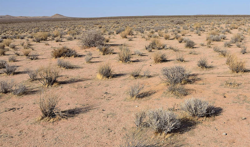 2.54 Acres – Kern County, CA - The Swiss Army Knife Of Land!