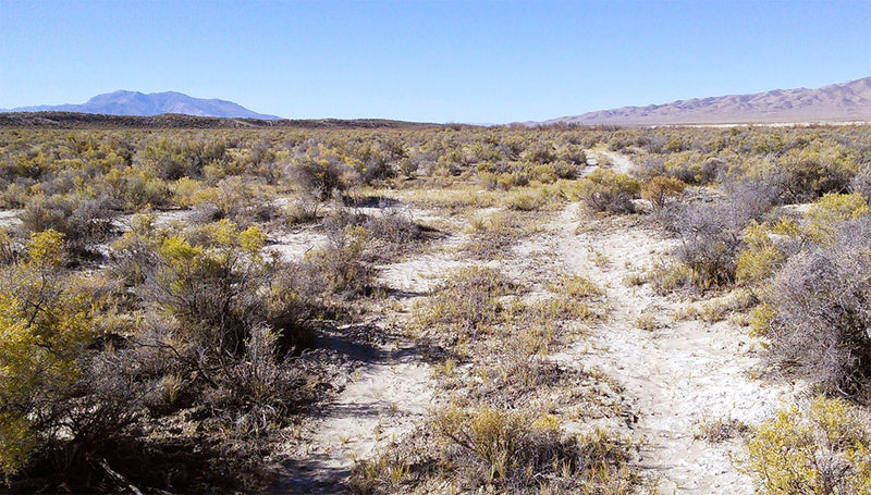 42.2 Acres – Humboldt County, NV - Escape the Ordinary. Embrace the Extraordinary