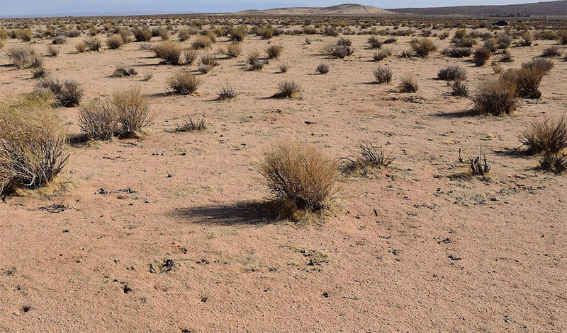 2.54 Acres – Kern County, CA - The Swiss Army Knife Of Land!