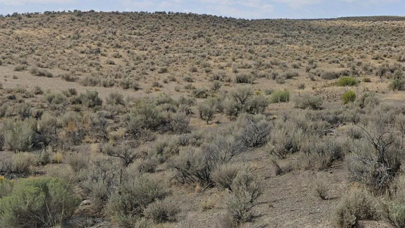 40 Acres – Elko County, NV - This land deserves your savings, now!