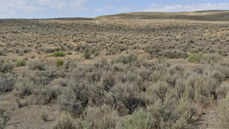 40 Acres – Elko County, NV - This land deserves your savings, now!