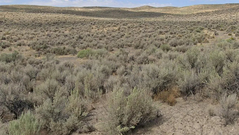 40 Acres – Elko County, NV - This land deserves your savings, now!