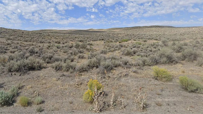 40 Acres – Elko County, NV - This land deserves your savings, now!