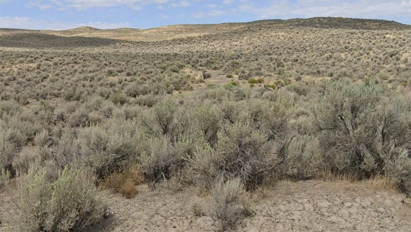 40 Acres – Elko County, NV - This land deserves your savings, now!