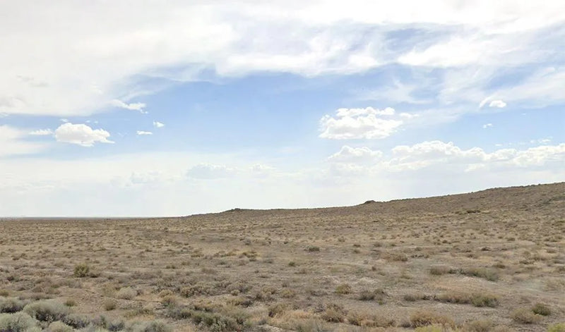 40.32 in Pershing County, NV - Brush Included, Stress Not Included