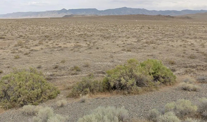 40.32 in Pershing County, NV - Brush Included, Stress Not Included