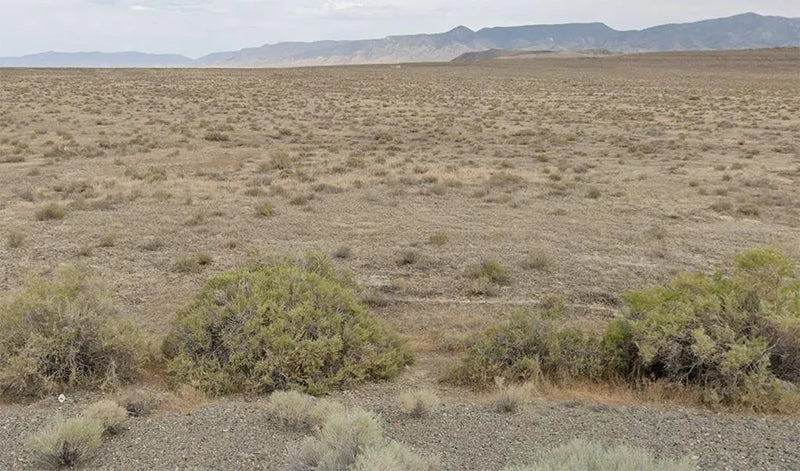 40.32 in Pershing County, NV - Brush Included, Stress Not Included