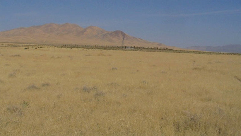 40.72 Acres – Humboldt County, NV - Own Near Rye Patch